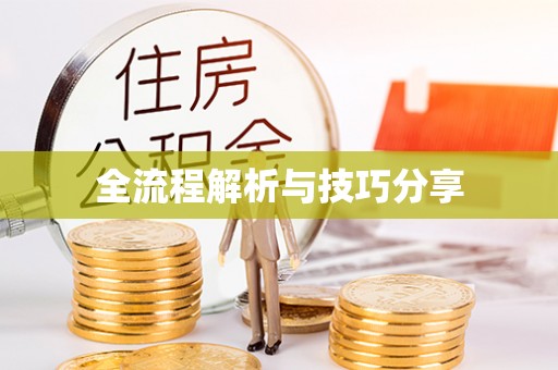 罗湖全流程解析与技巧分享