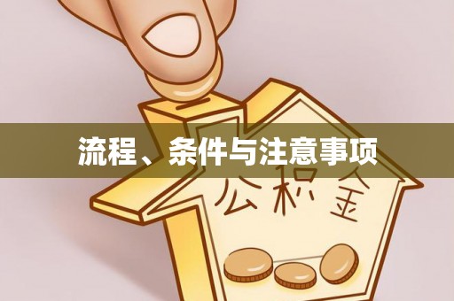 罗湖流程、条件与注意事项